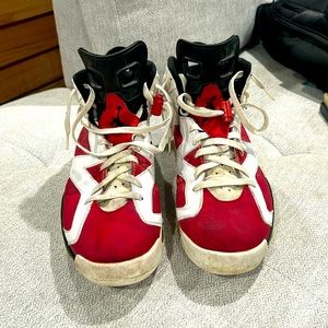 Jordan carmine 6s